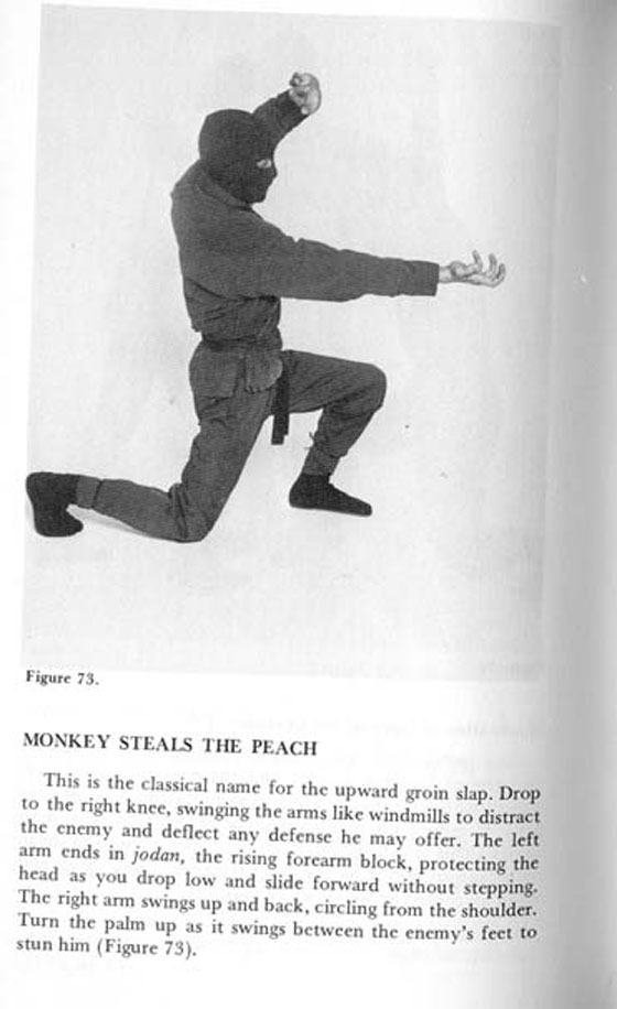 monkey-1