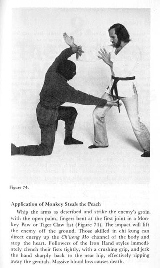 monkey-2