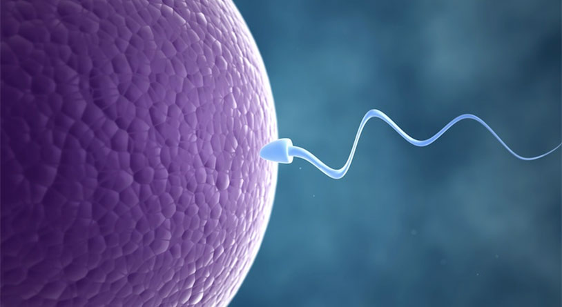 Sperm Mapping