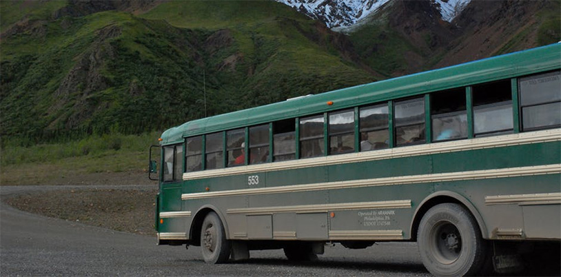 Bus